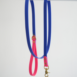 Laisse simple bicolore