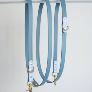 Laisse multiposition bicolore