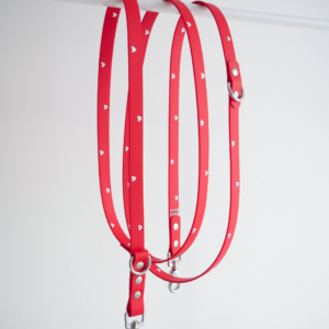 Laisse multiposition Lover