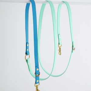 Laisse multiposition Anneaux