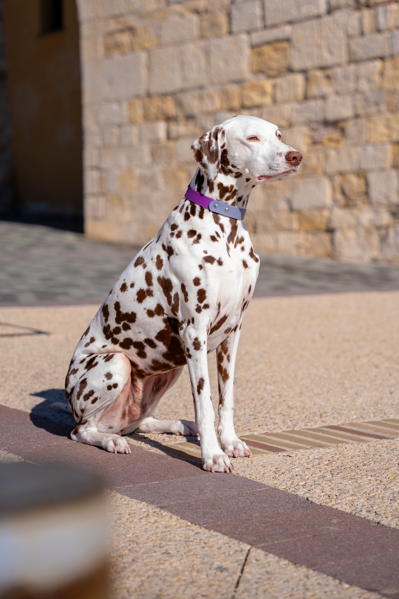 Collier bicolore – Image 5