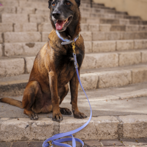 Laisse multiposition bicolore