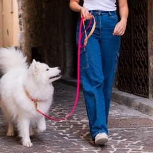 Laisse simple bicolore